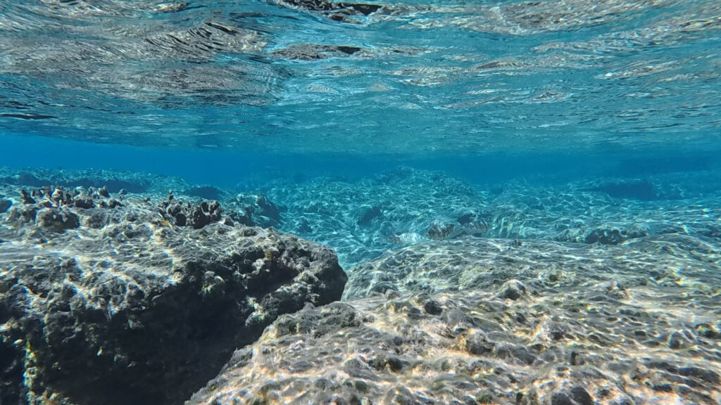 Clear water and rocky seabed at Camel Beach in Kos, Greece