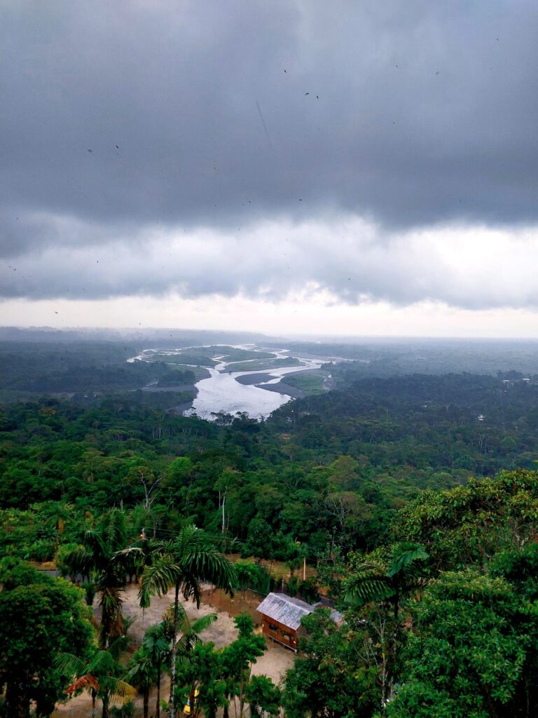 Princess Cruises 2028-2029 Americas season || Winding river surrounded by dense tropical rainforest